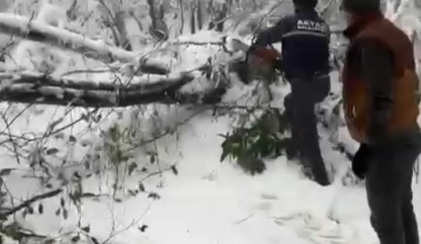 guzlek-te-muhtar-yollari-acti-araclari-kurtardisuc4zexmzf