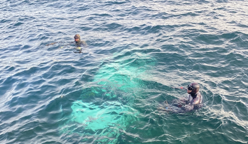 Hafif ticari araç denize uçtu, sürücüyü balıkçılar kurtardı