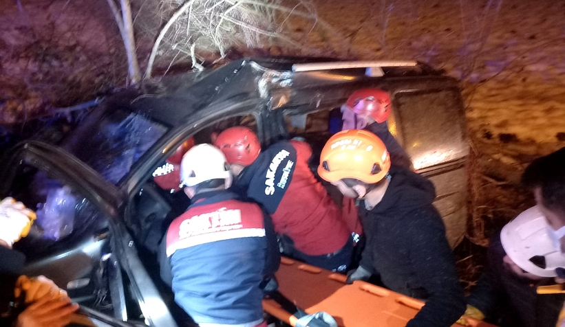 Hafif ticari araç şarampole uçtu