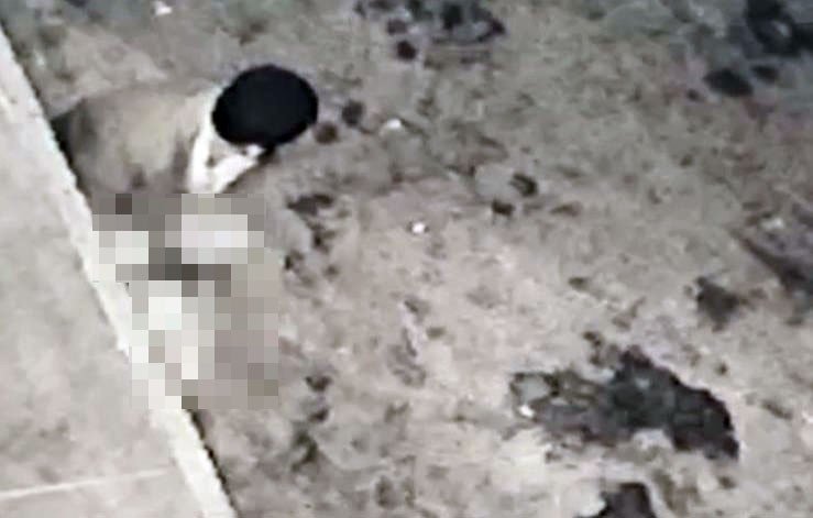 Halde mide bulandıran görüntüler