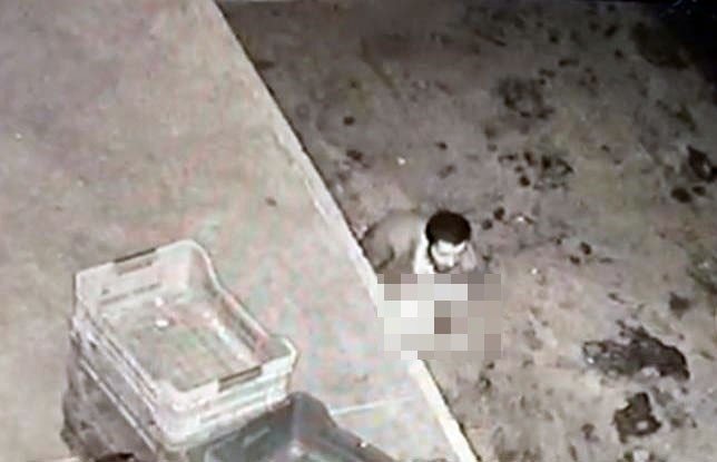 Halde mide bulandıran görüntüler