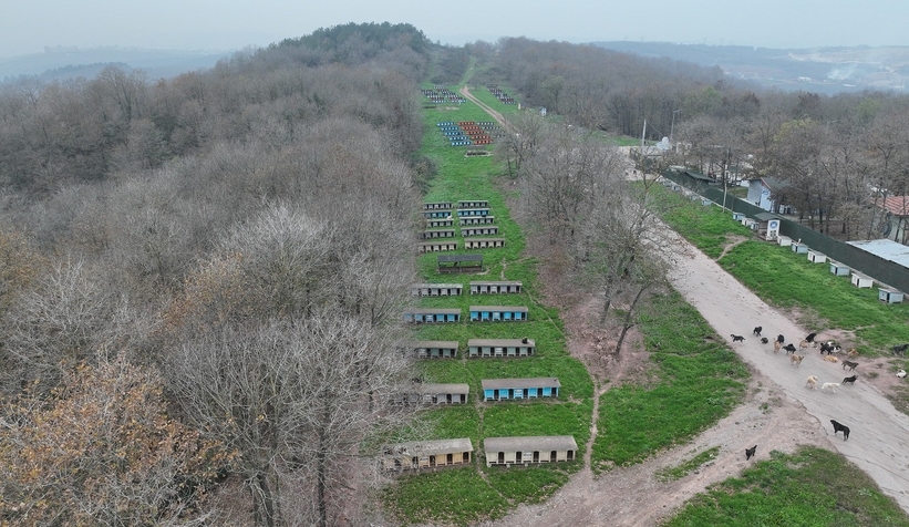 Hastane gıda fazlalıkları hayvan barınağına