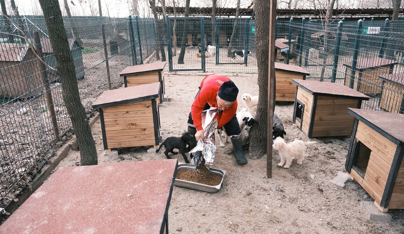 Hastane gıda fazlalıkları hayvan barınağına