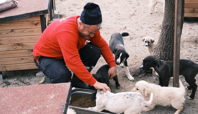 Hastane gıda fazlalıkları hayvan barınağına