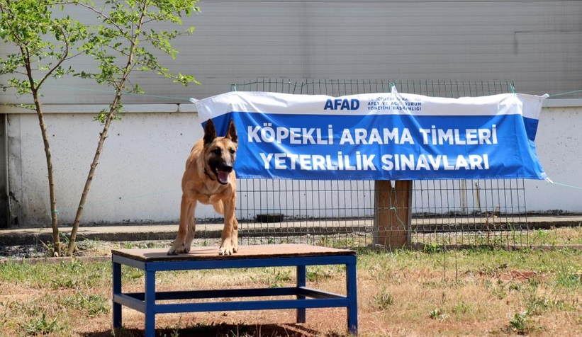 hayat-kurtaran-altin-burunlarin-zorlu-sinaviakiyodfxat