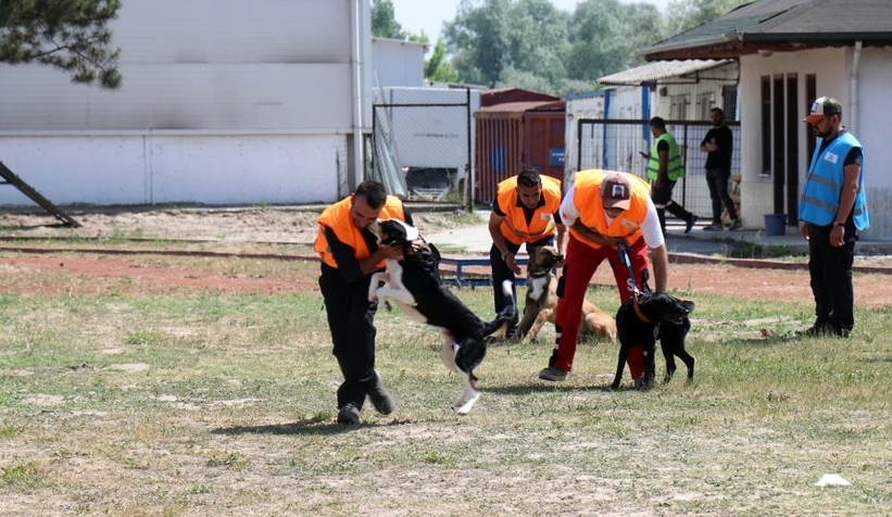hayat-kurtaran-altin-burunlarin-zorlu-sinaviakiyodfxat