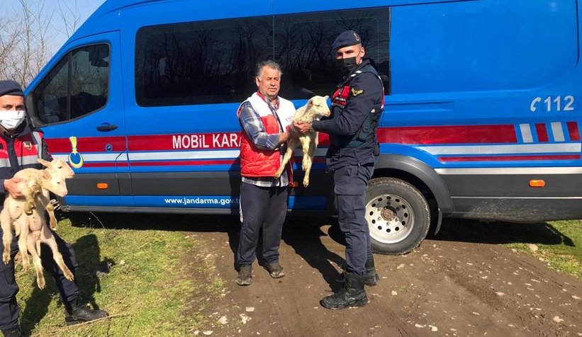 Hayvan hırsızları jandarmadan kaçamadı