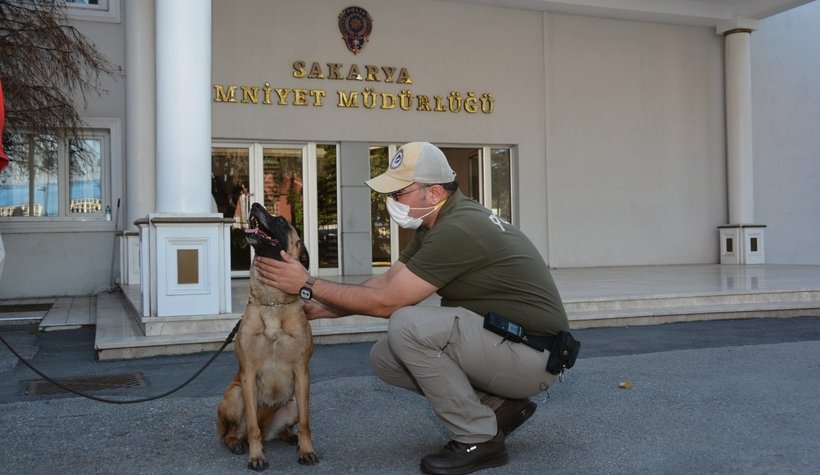 Hayvan Koruma Büro Amirliği kuruldu