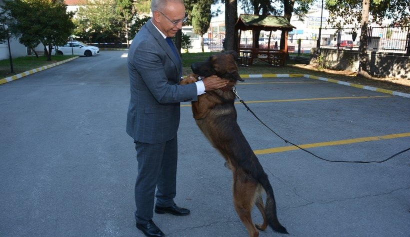 Hayvan Koruma Büro Amirliği kuruldu