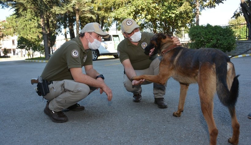 Hayvan Koruma Büro Amirliği kuruldu