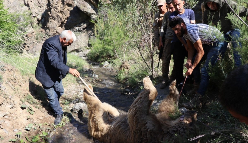 hayvan-otlatan-ciftci-ayi-saldirisiyla-olduavn6bfa3df