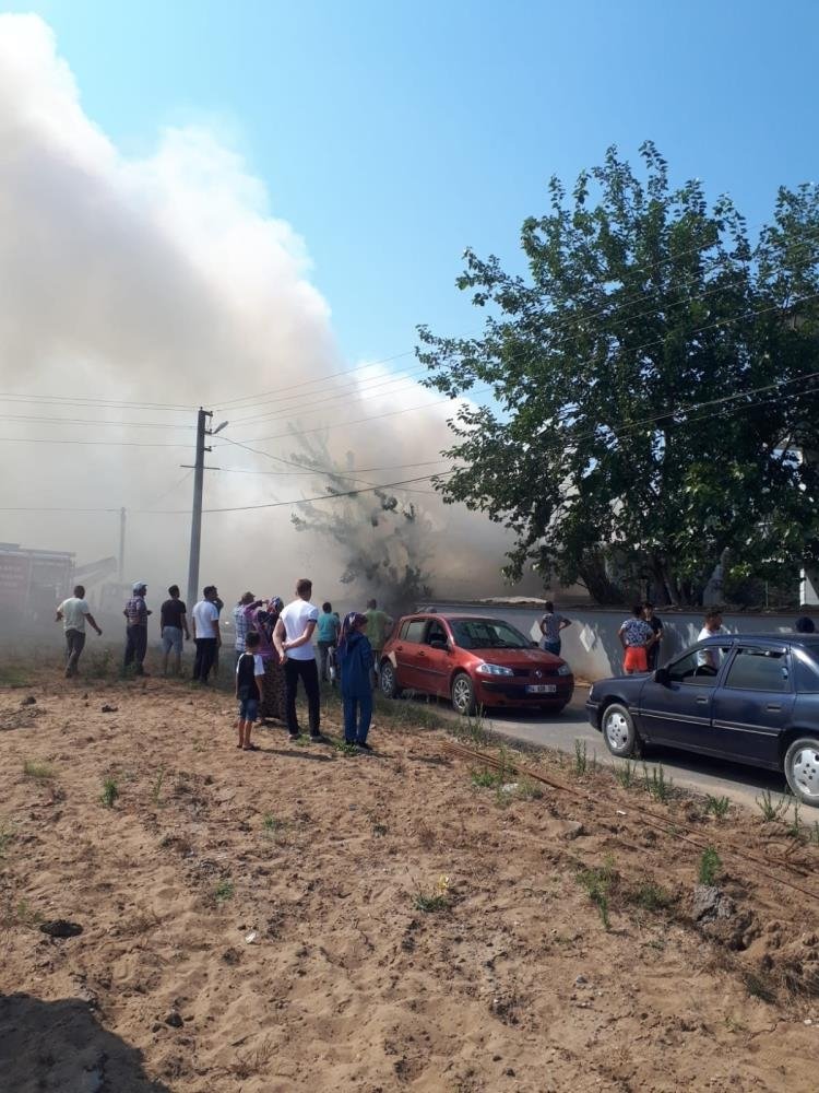 hayvanlar-son-anda-kurtarildibhlmdlp1nk