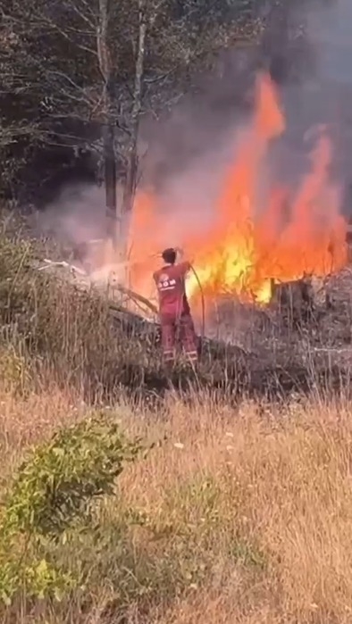 Hendek'te arazi yangını