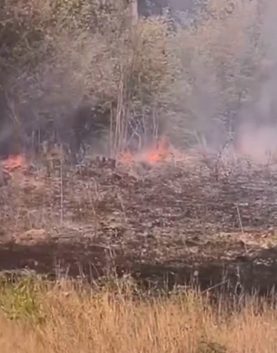 Hendek'te arazi yangını