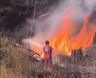 Hendek'te arazi yangını