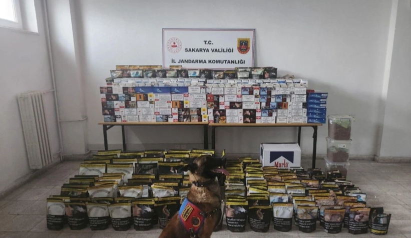 Hendek'te kaçak tütün operasyonu