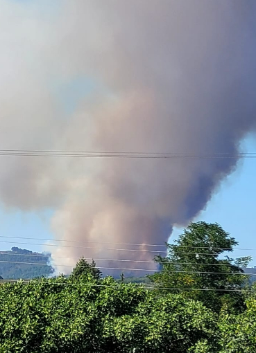 Hendek'te ki orman yangınıyla ilgili 2 kişi adli kontrolle serbest