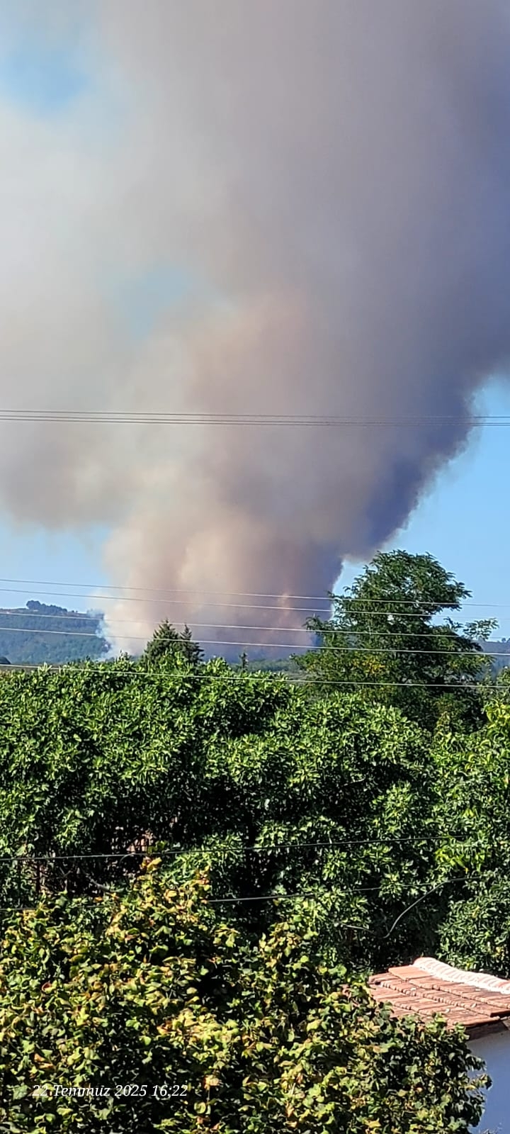 Hendek'te orman yangını çıktı