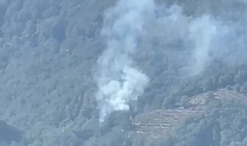 Hendek'te orman yangını kontrol altında