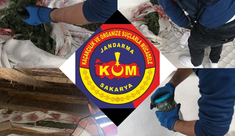 Hendek'te zehir baskını