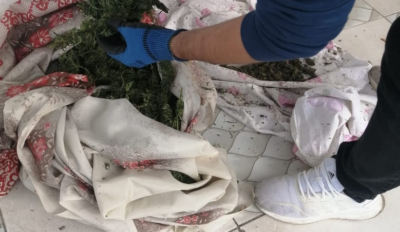 Hendek'te zehir baskını