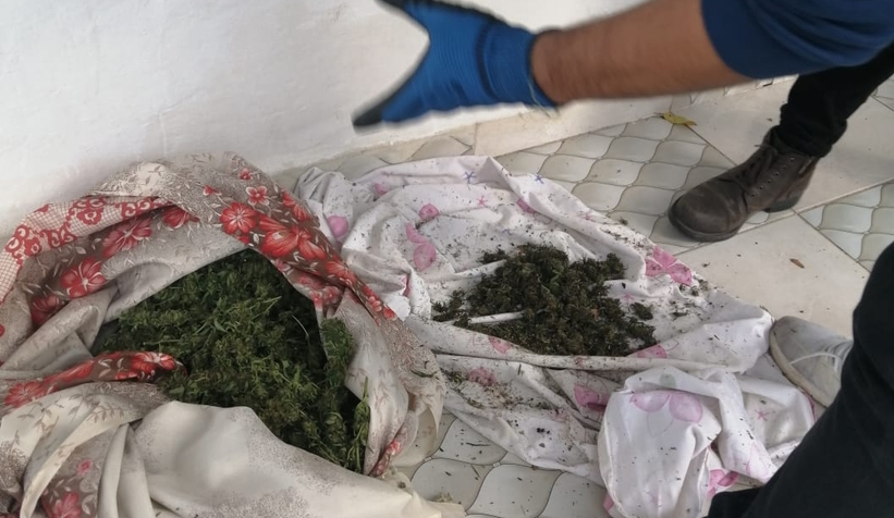 Hendek'te zehir baskını