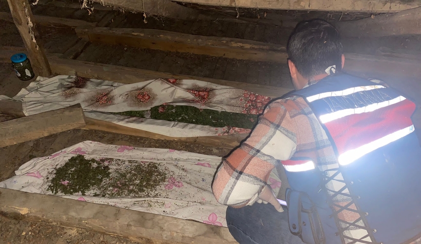 Hendek'te zehir baskını