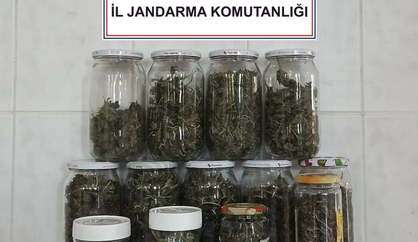 Hendek'te zehir operasyonu