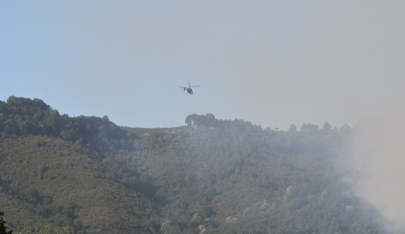 Hendek'teki orman yangını kontrol altında