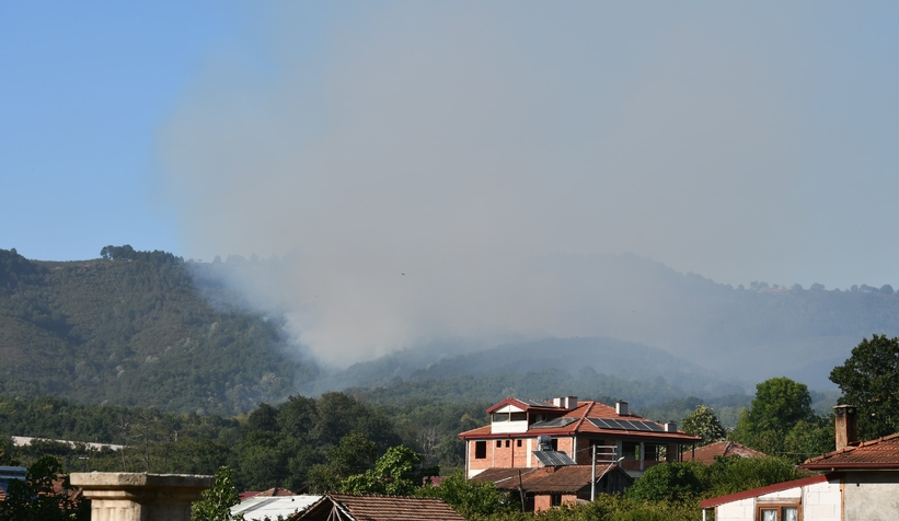 Hendek'teki orman yangını kontrol altında
