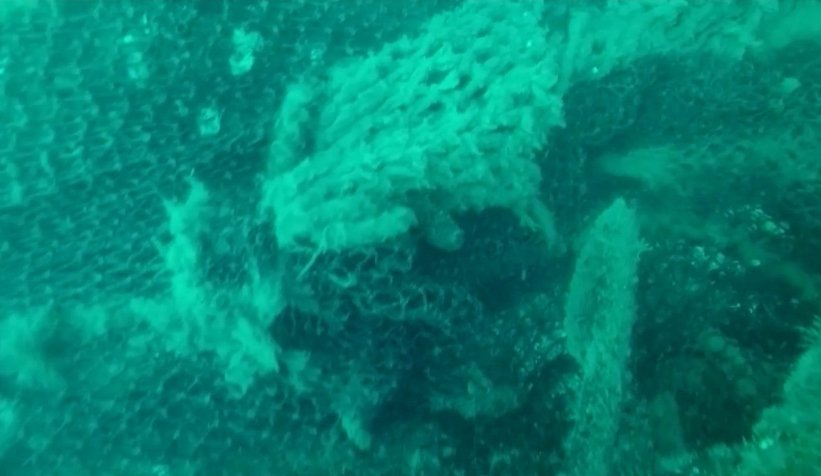 Hitler'in denizaltısı ağlardan temizleniyor