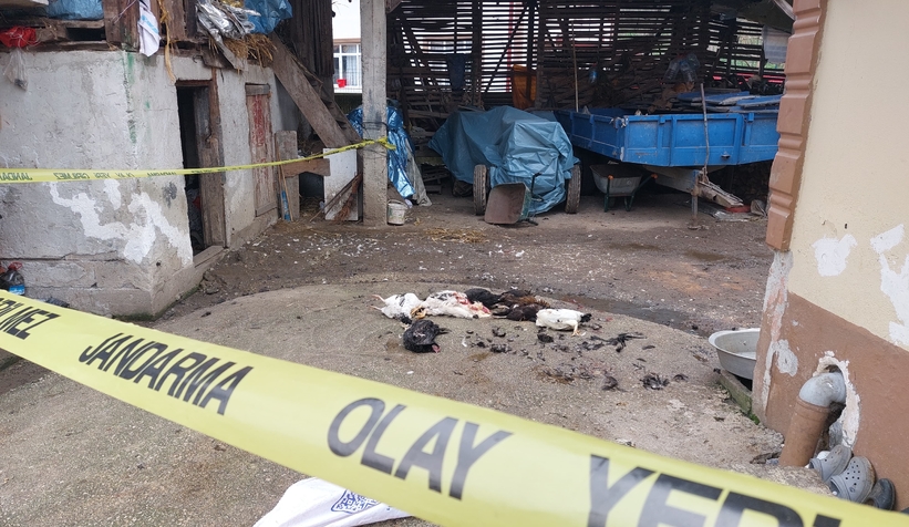 Horozlarını verilmesine kızıp dehşet saçan zanlı teslim oldu