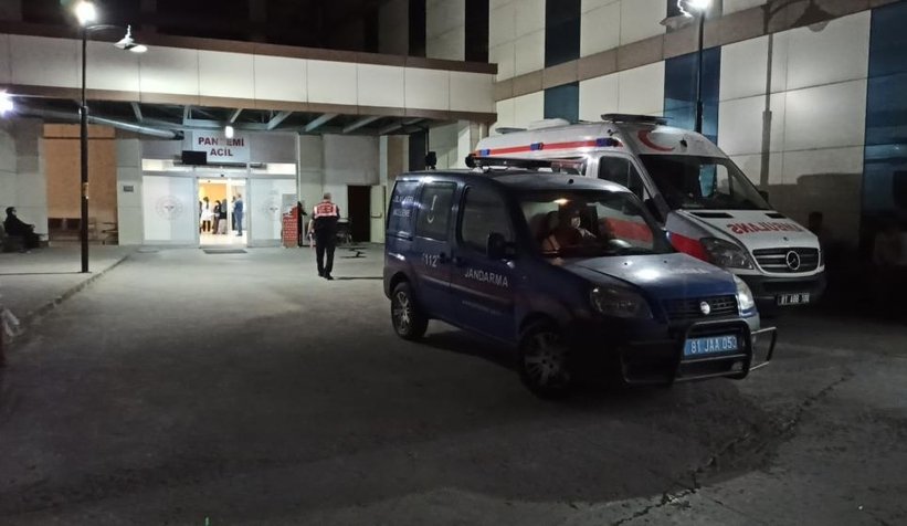 İki kardeşini silahla vurarak öldürdü