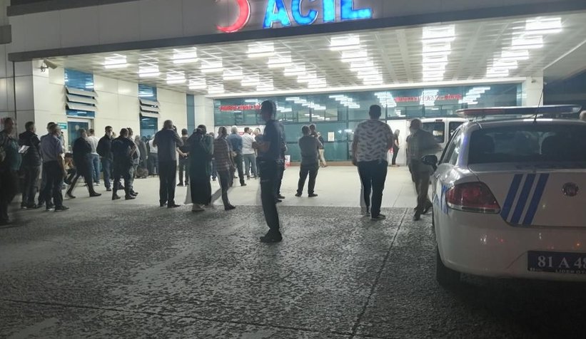 İki kardeşini silahla vurarak öldürdü