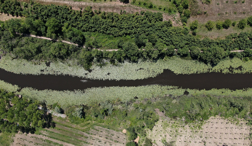 il-ormani-ve-acarlar-longozu-na-ziyaretci-akinik2xpr1l0yw