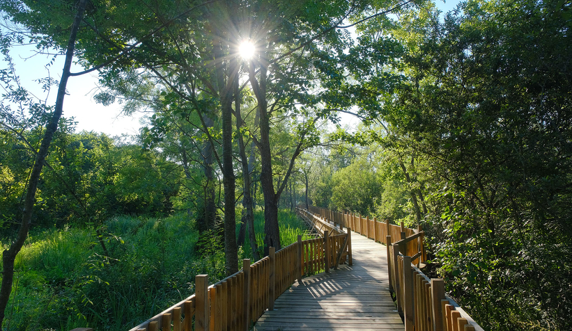 il-ormani-ve-acarlar-longozu-na-ziyaretci-akinik2xpr1l0yw