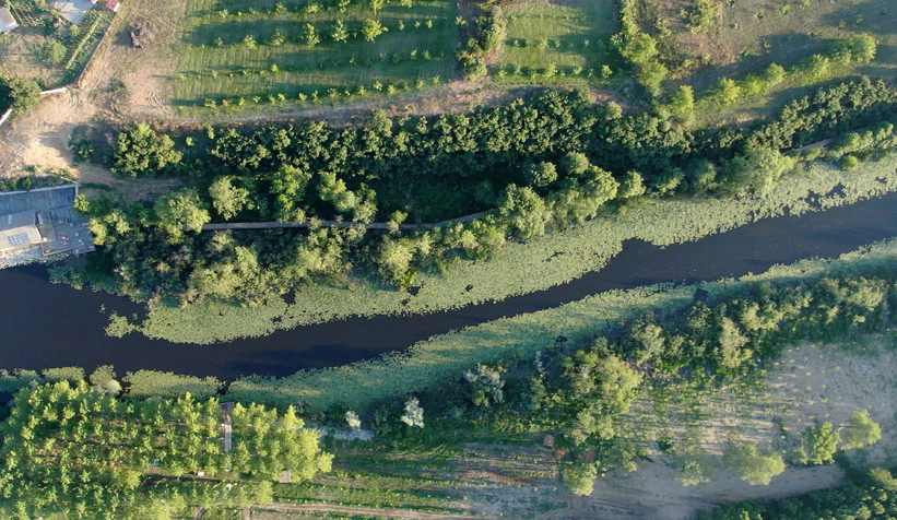 il-ormani-ve-acarlar-longozu-na-ziyaretci-akinik2xpr1l0yw