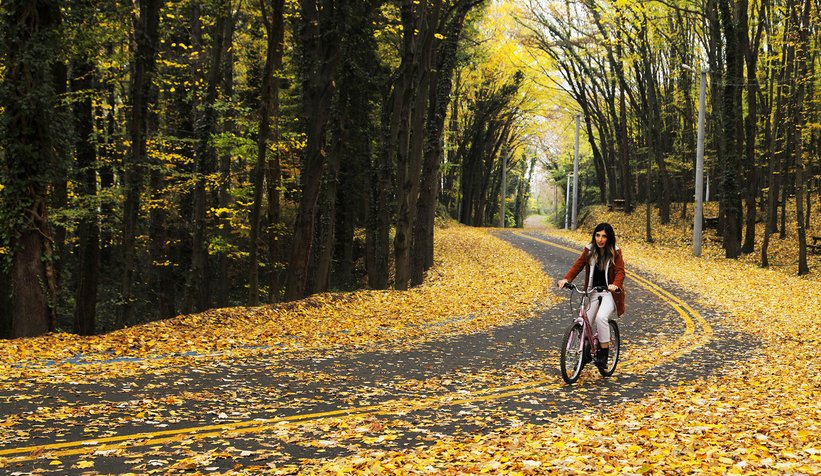 İl Ormanı’nda sonbahar bir başka