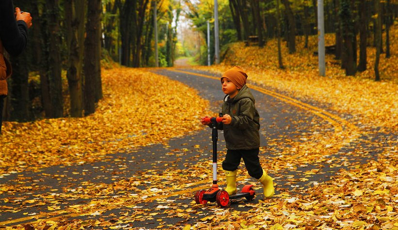 İl Ormanı’nda sonbahar bir başka