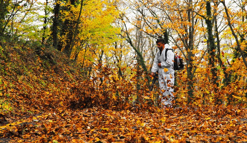 İl Ormanı’nda sonbahar bir başka