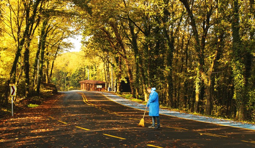 İl Ormanı’nda sonbahar bir başka