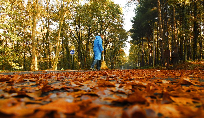 İl Ormanı’nda sonbahar bir başka