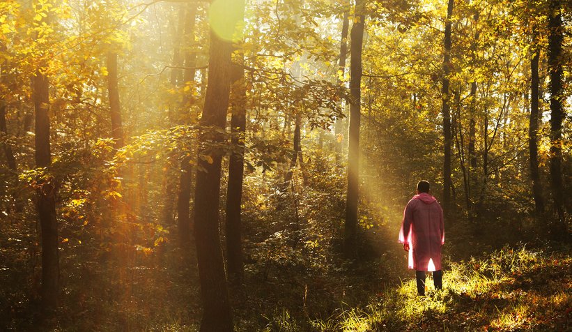 İl Ormanı’nda sonbahar bir başka