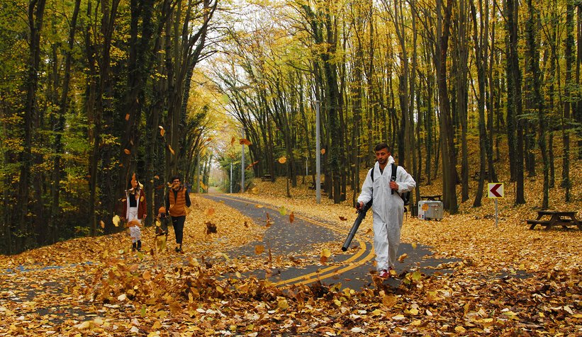 İl Ormanı’nda sonbahar bir başka