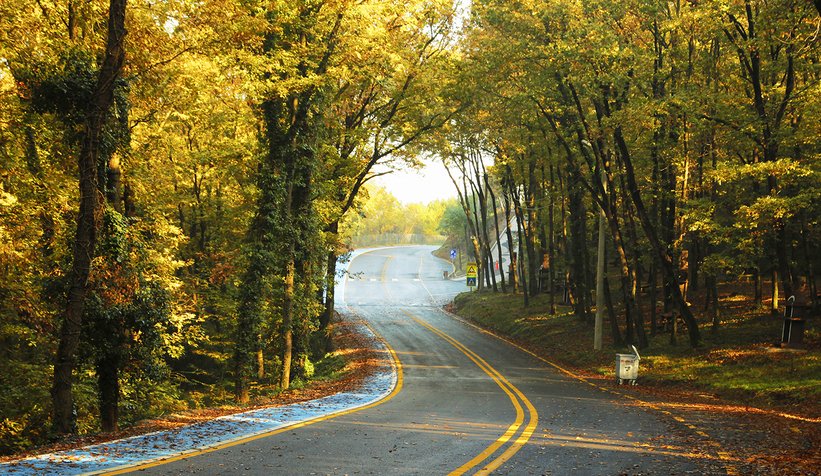 İl Ormanı’nda sonbahar bir başka
