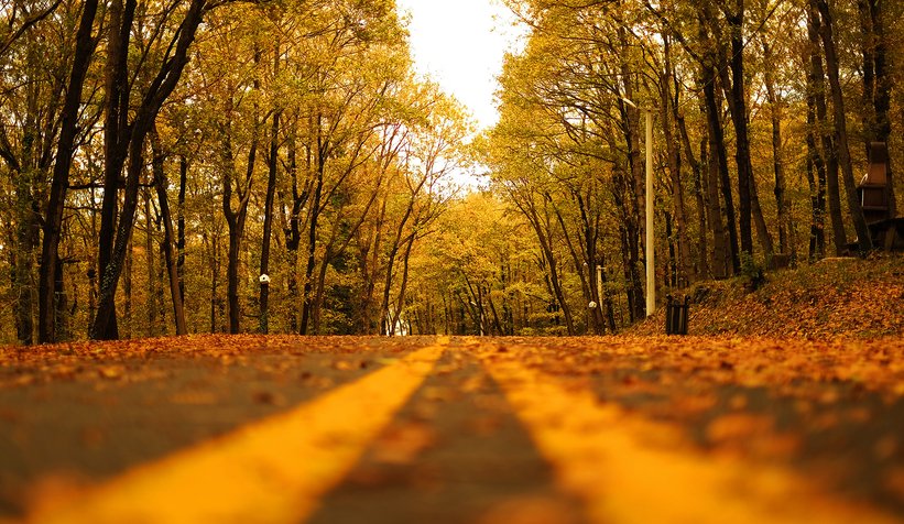 İl Ormanı’nda sonbahar bir başka
