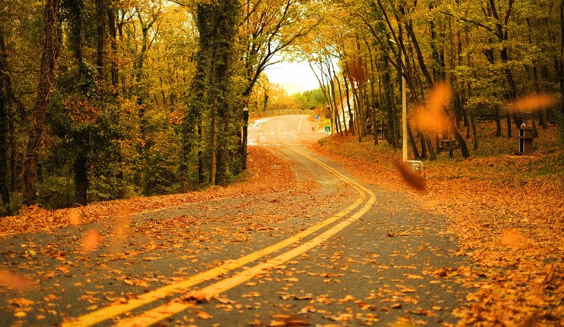 İl Ormanı’nda sonbahar bir başka