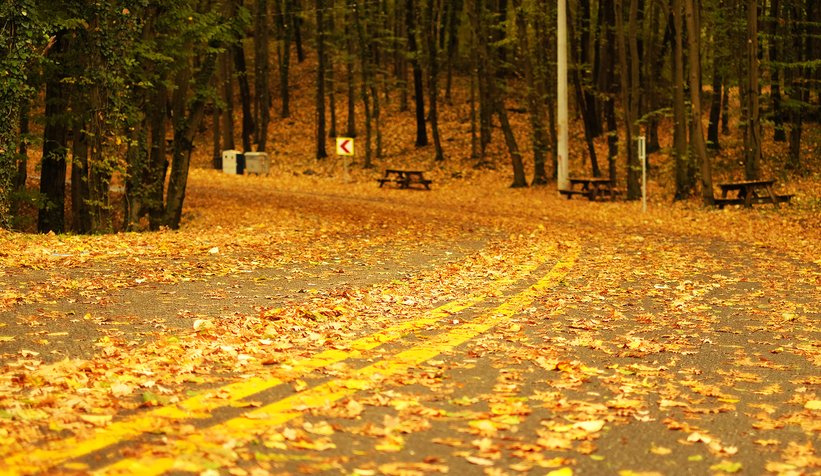 İl Ormanı’nda sonbahar bir başka