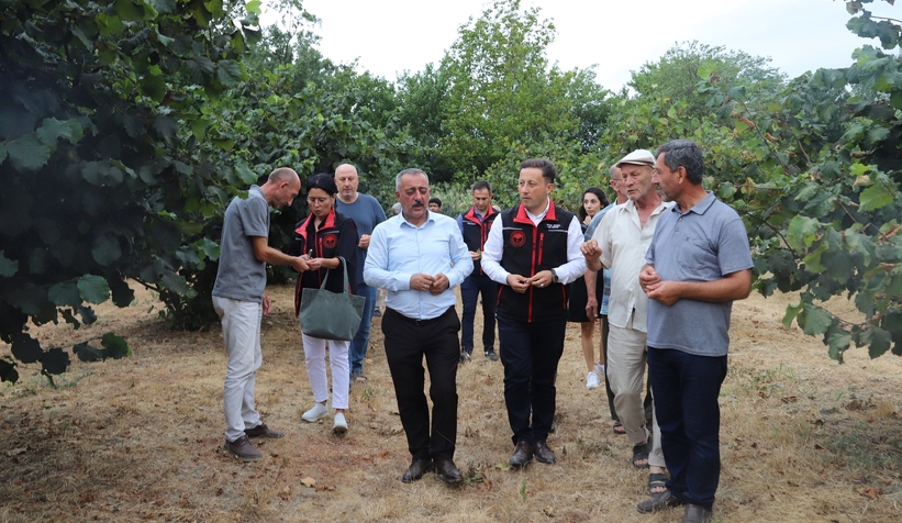 İl Tarım Müdürü Asım Baş, sahaya indi; Akyazı'da bahçelerde incelem yaptı