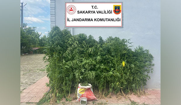 ilce-ve-il-jandarmadan-uyusturucu-operasyonuotzyvuddvw